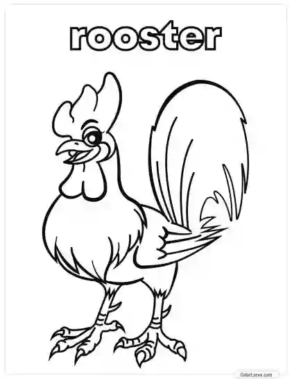 Animal Coloring Pages