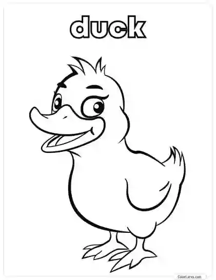 Animal Coloring Pages