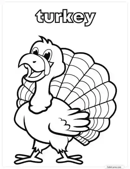 Animal Coloring Pages