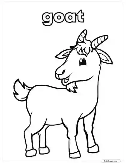 Animal Coloring Pages