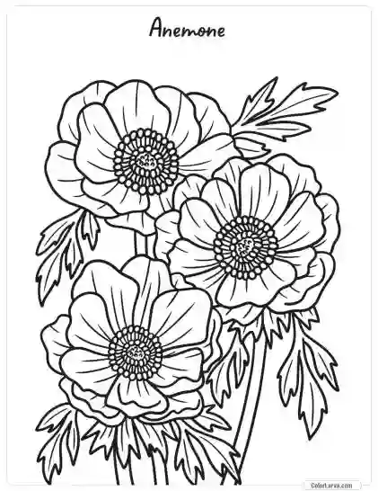 Flower Coloring Pages