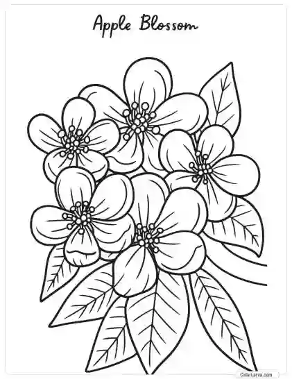 Flower Coloring Pages