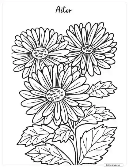 Flower Coloring Pages