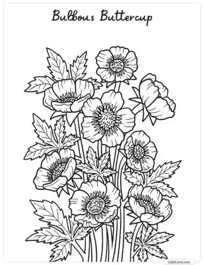 Flower Coloring Pages