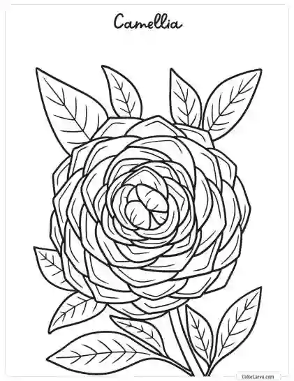 Flower Coloring Pages