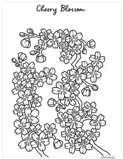 Flower Coloring Pages