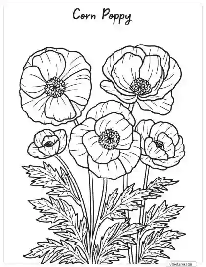 Flower Coloring Pages