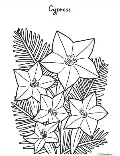 Flower Coloring Pages