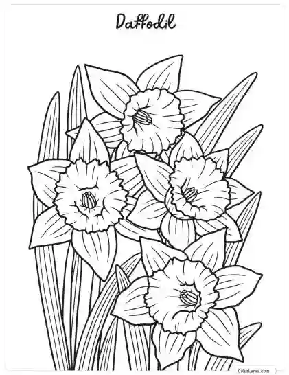 Flower Coloring Pages