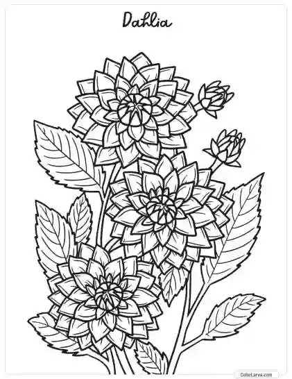 Flower Coloring Pages