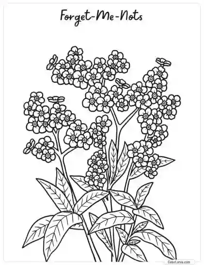 Flower Coloring Pages