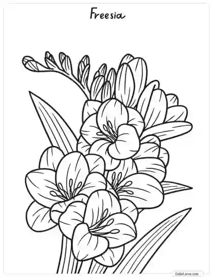 Flower Coloring Pages