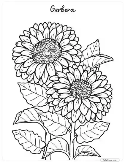 Flower Coloring Pages