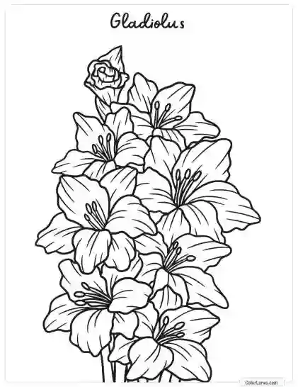 Flower Coloring Pages