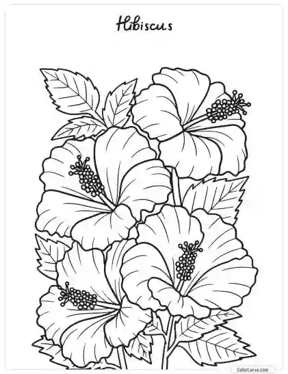 Flower Coloring Pages