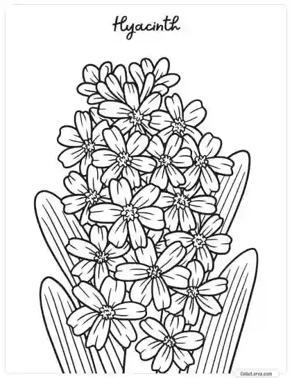 Flower Coloring Pages