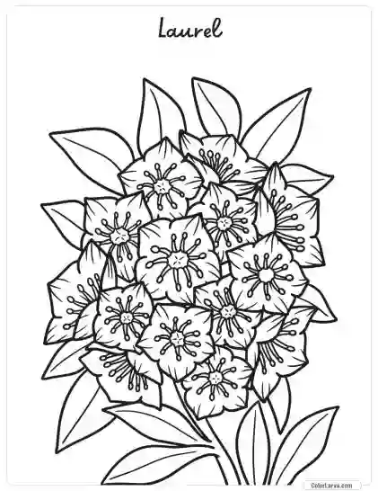 Flower Coloring Pages