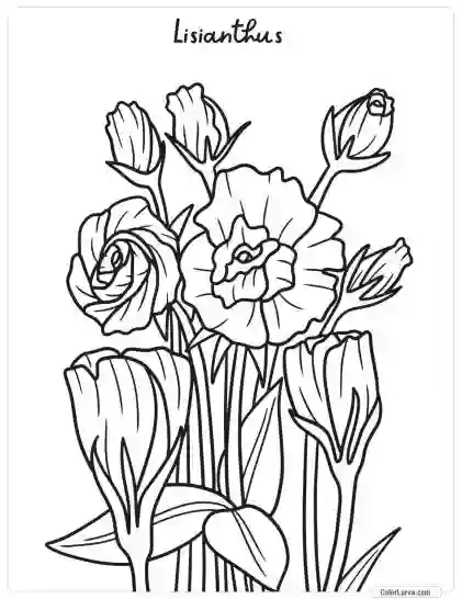 Flower Coloring Pages