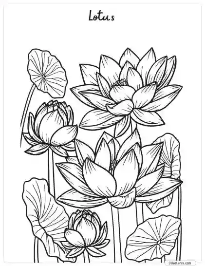 Flower Coloring Pages