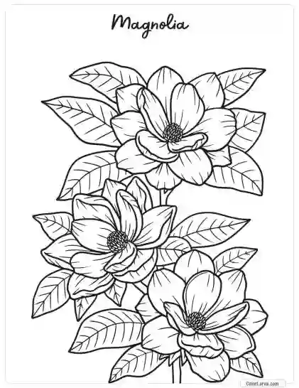 Flower Coloring Pages