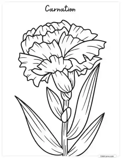 Flower Coloring Pages