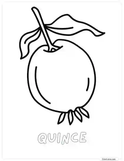 Fruit Coloring Pages